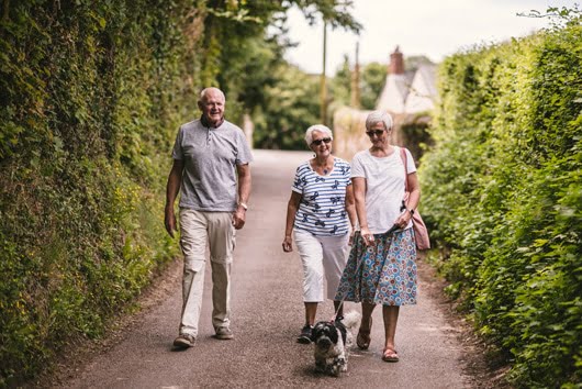 dog-friendly-holidays—gallery Holidays with dogs