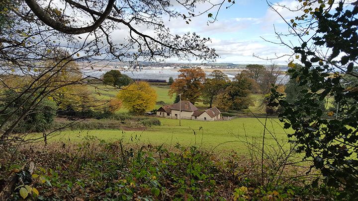 Country Walks Cofton Country Walks Cofton