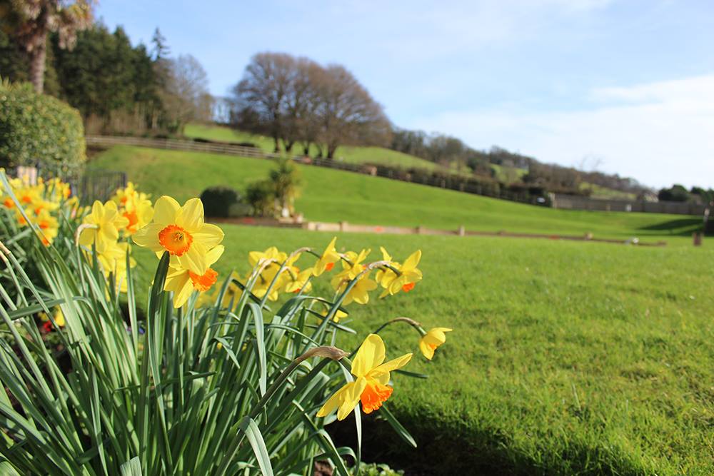 Easter Breaks in Devon Easter breaks in devon