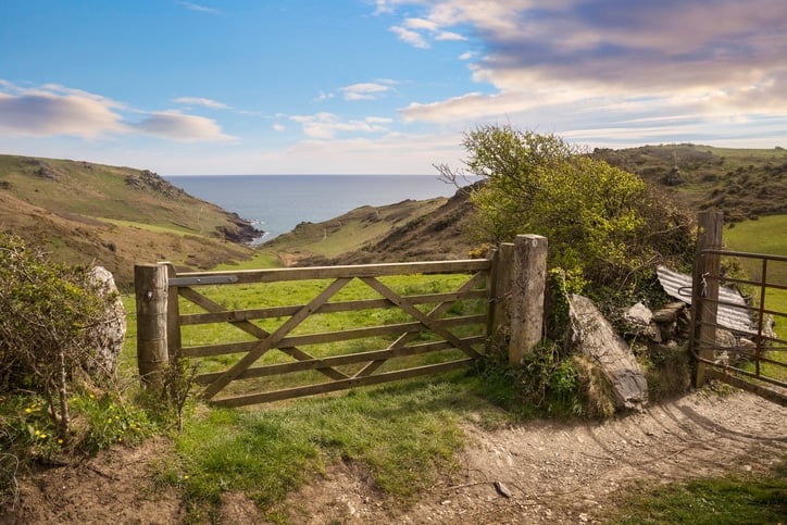 Your Glorious Corner of Devon Your Glorious Corner of Devon