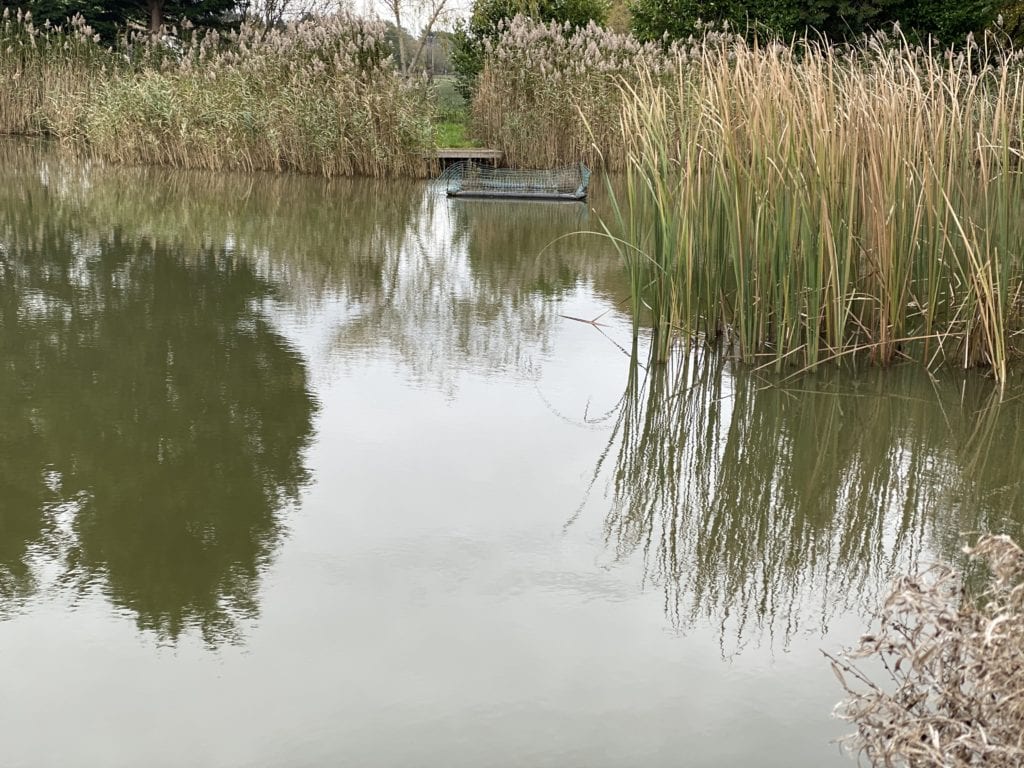 Swim choice for Perch fishing
