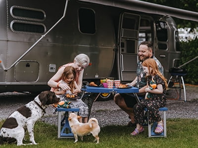 dog friendly camping in devon dog friendly camping in devon