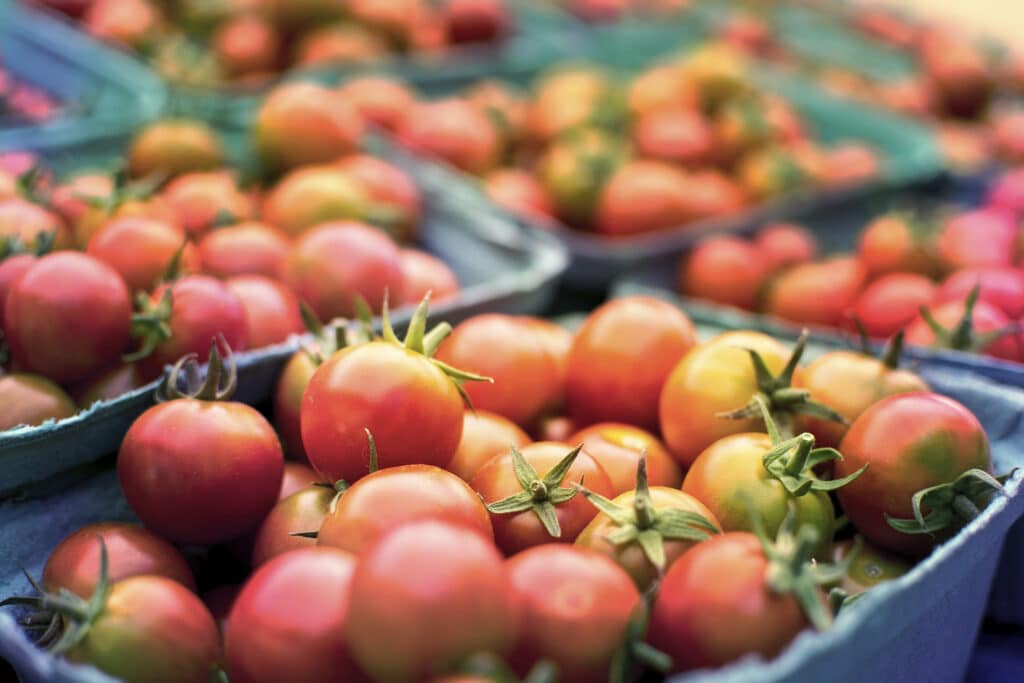 Best Farm shops in Devon