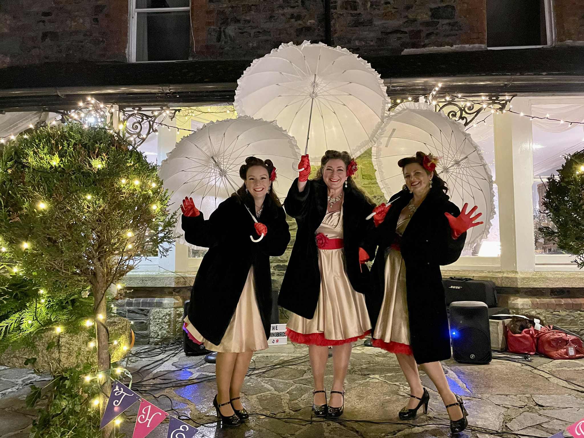 The Hummingbirds – PROMO IMAGE The Hummingbirds Trio