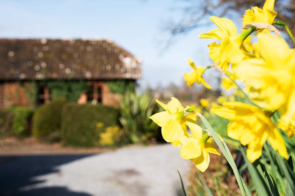 Easter_Cofton_Accommodation Cofton_Cottages_Easter
